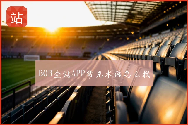 BOB全站APP常见术语怎么找